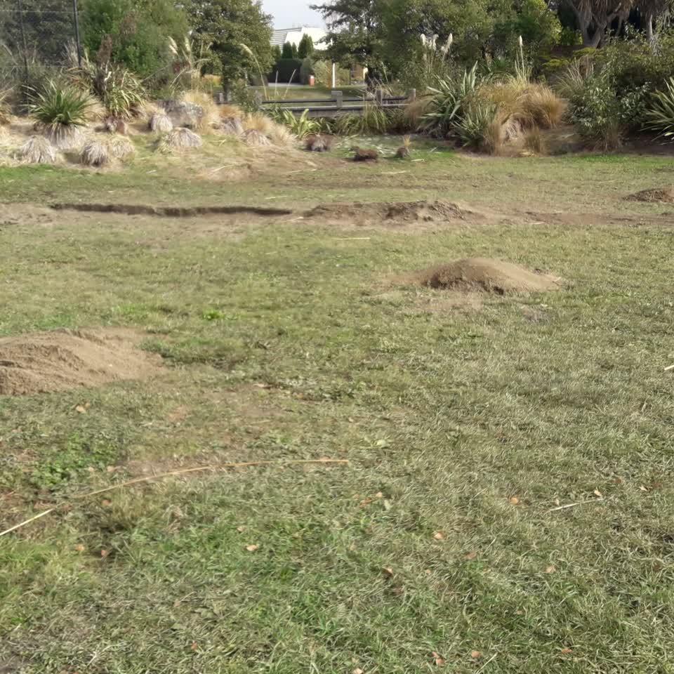 The photograph attached to this parks report
