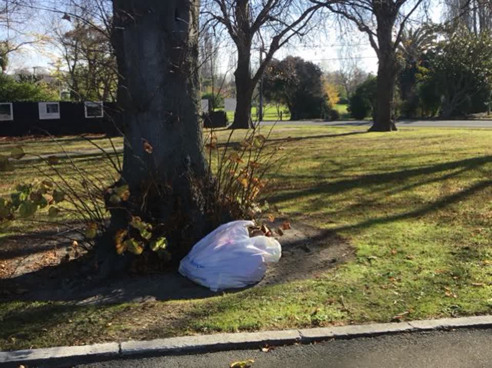 The photograph attached to this rubbish/recycling report