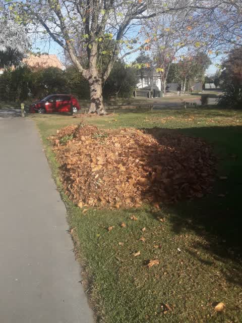 Parks — a report photo
