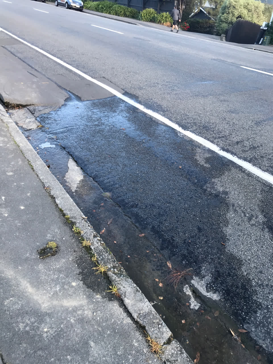 The photograph attached to this water supply report