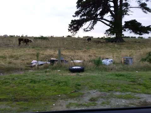 Rubbish/Recycling — a report photo