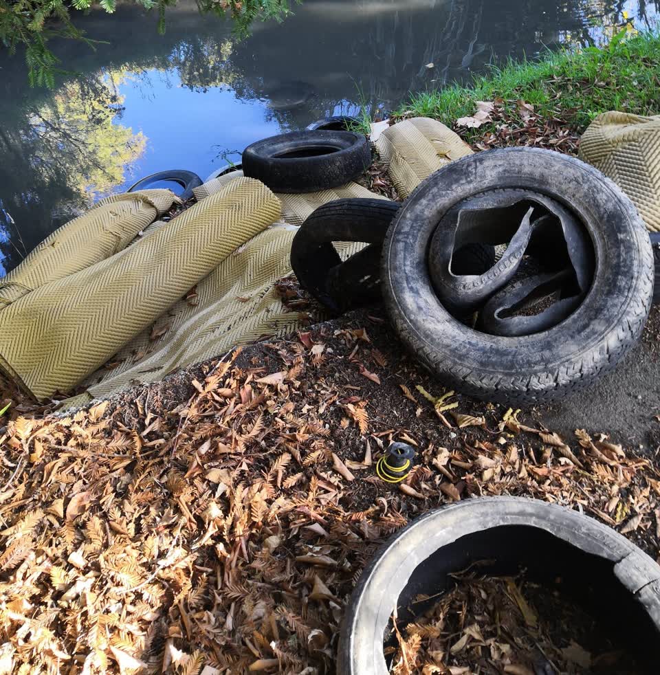The photograph attached to this rubbish/recycling report
