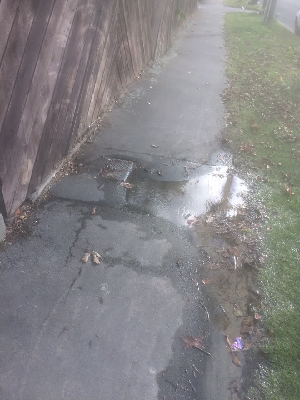 The photograph attached to this water supply report