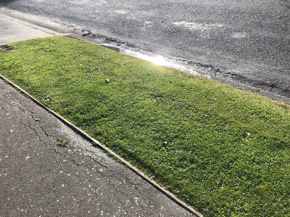 The photograph attached to this water supply report