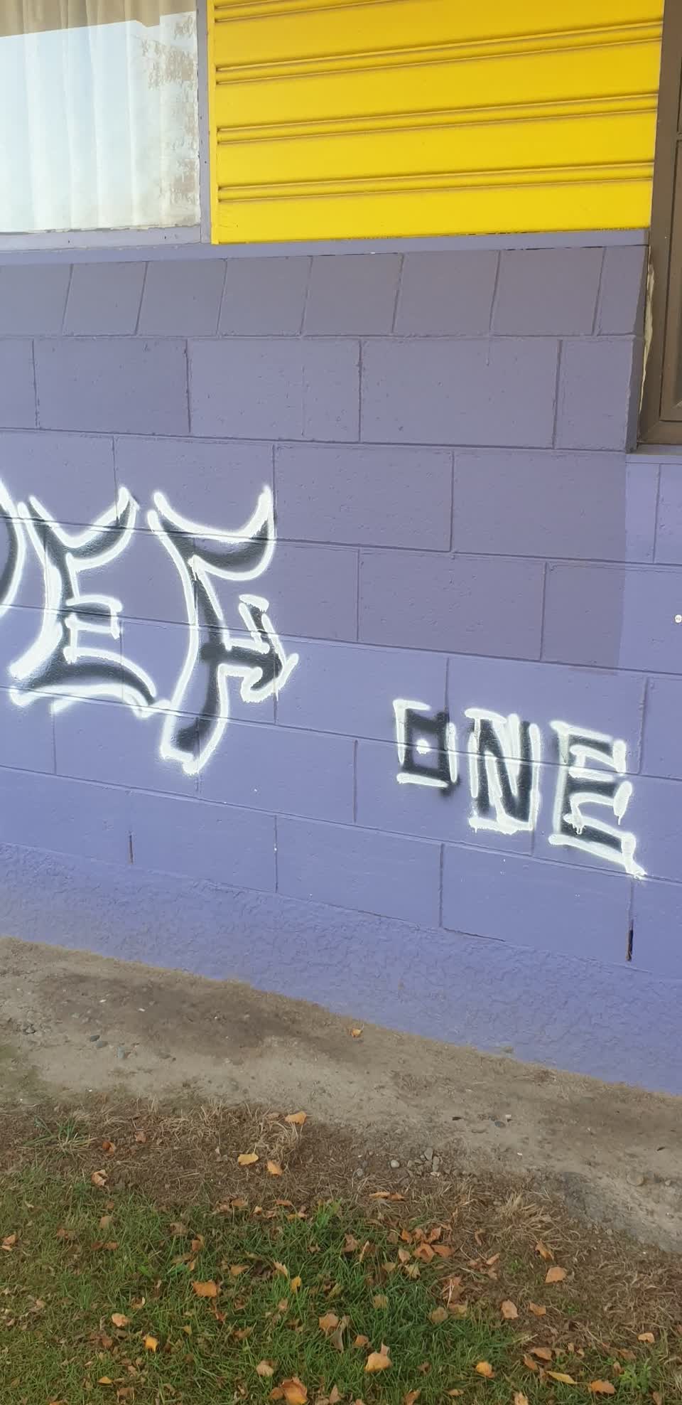 The photograph attached to this graffiti report
