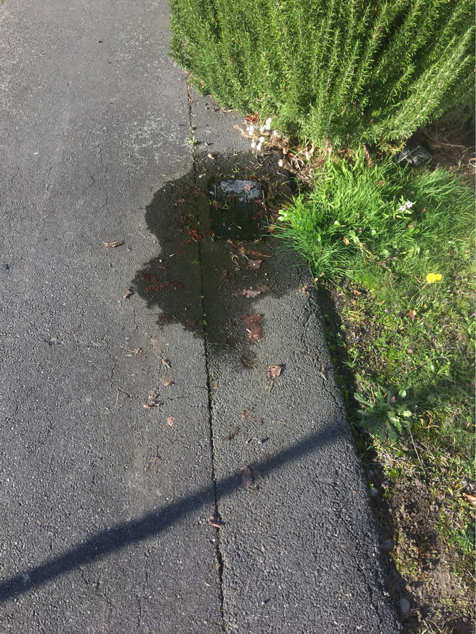 The photograph attached to this water supply report