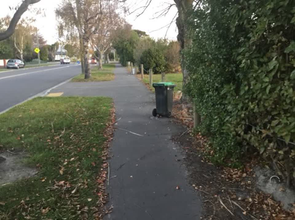 The photograph attached to this rubbish/recycling report