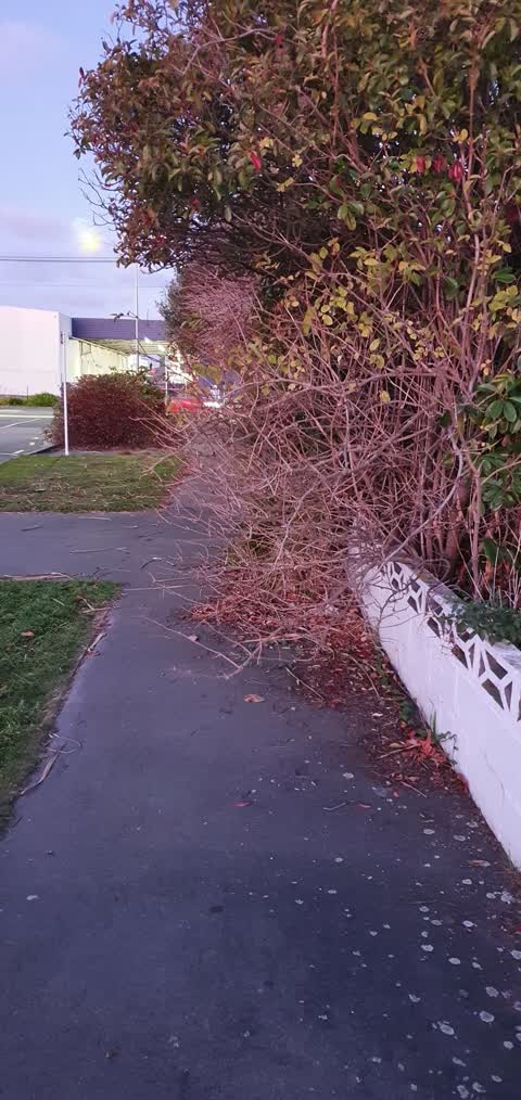 Roading/Streets, a report photo