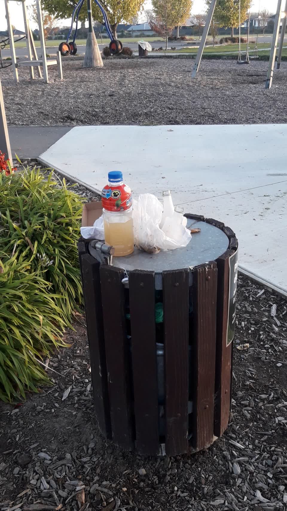 The photograph attached to this parks report