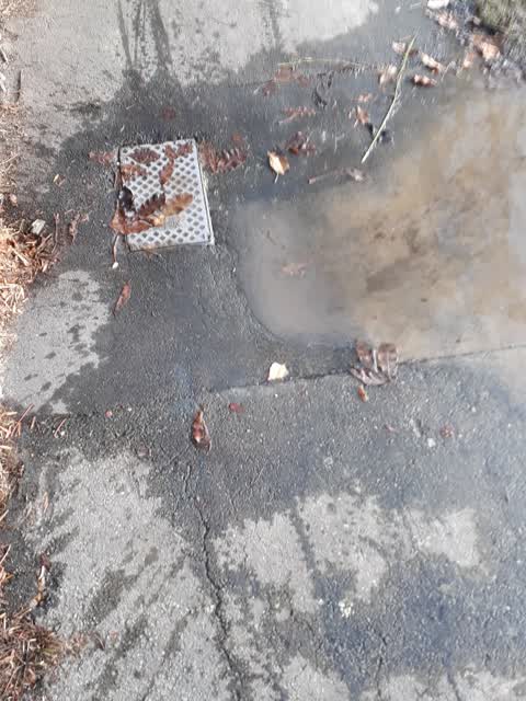 Water Supply, a report photo