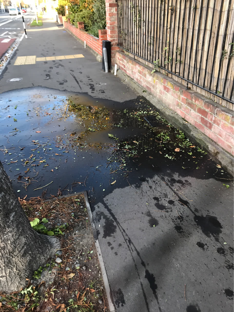 The photograph attached to this water supply report