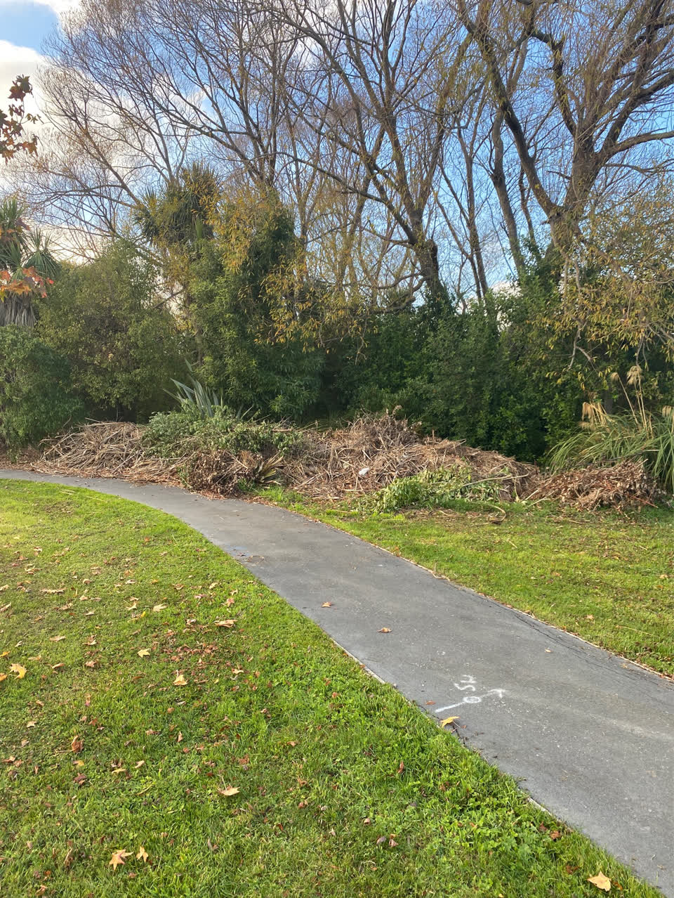 The photograph attached to this parks report