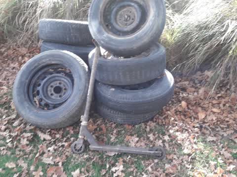 Parks, a report photo