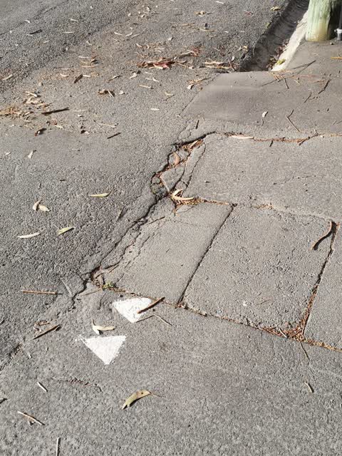 Roading/Streets, a report photo
