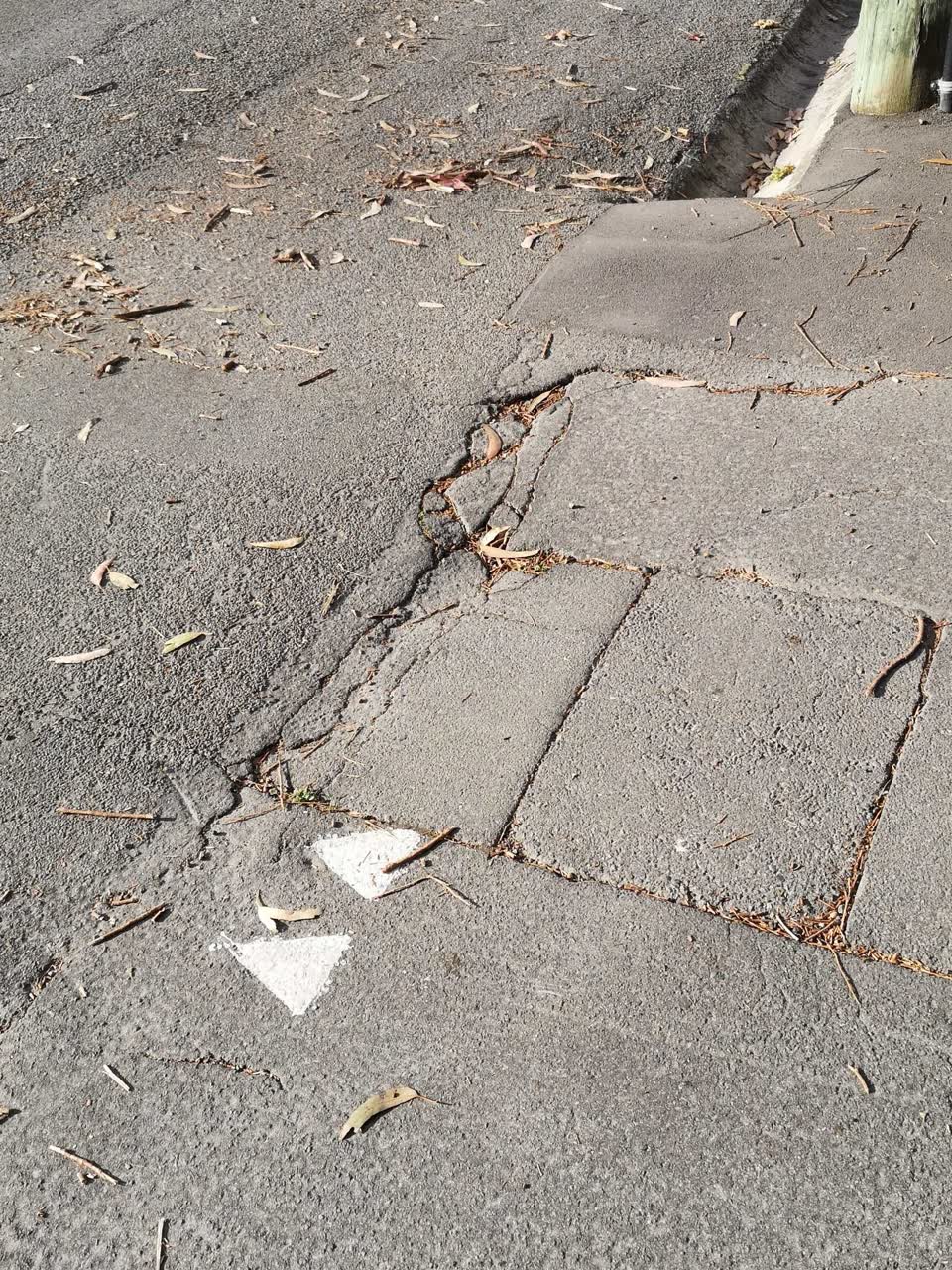 The photograph attached to this roading/streets report