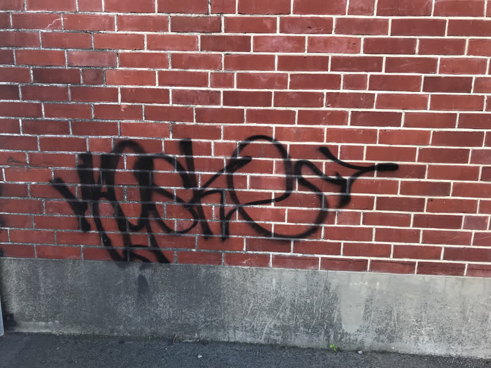 The photograph attached to this graffiti report