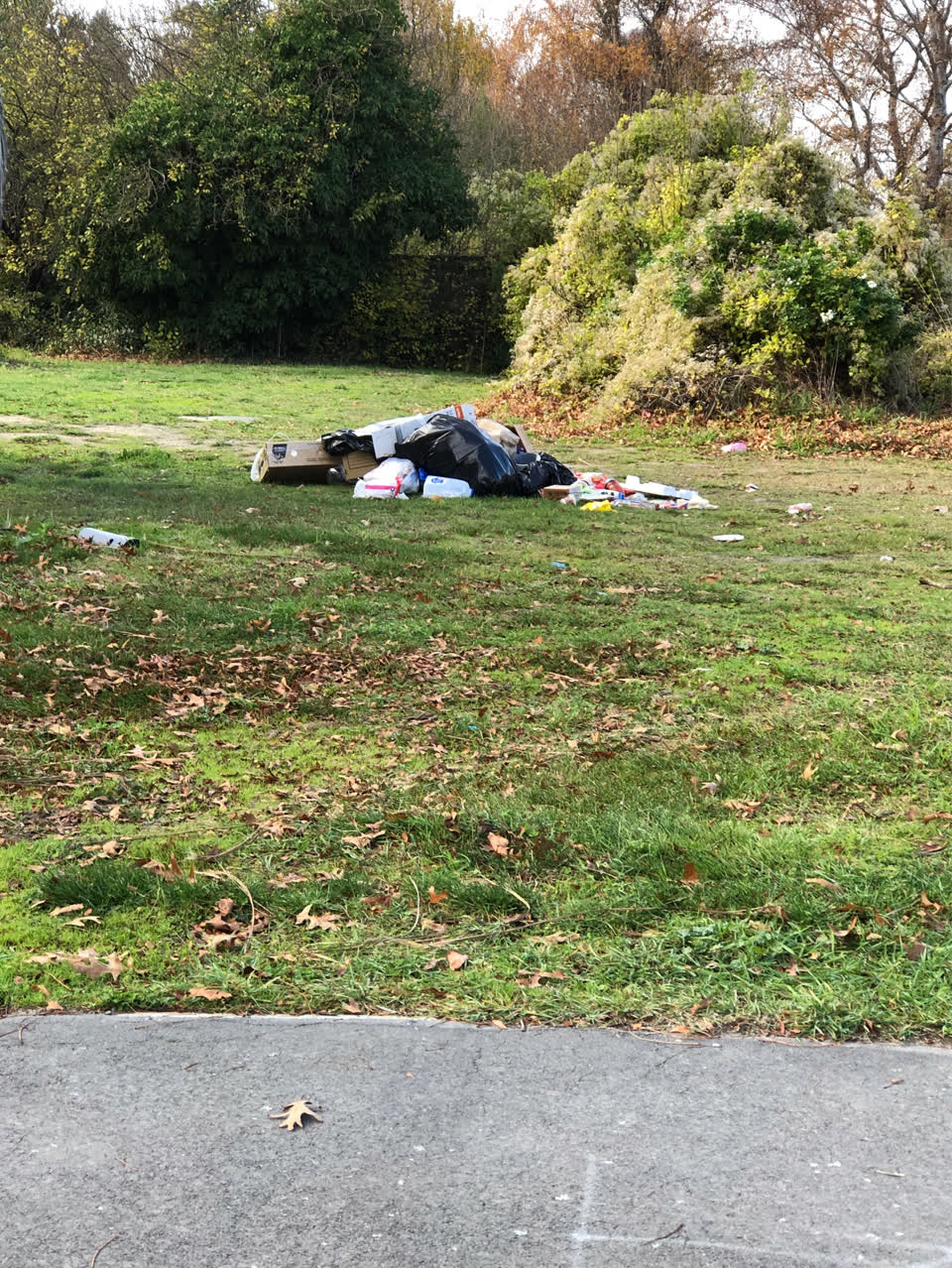 The photograph attached to this rubbish/recycling report