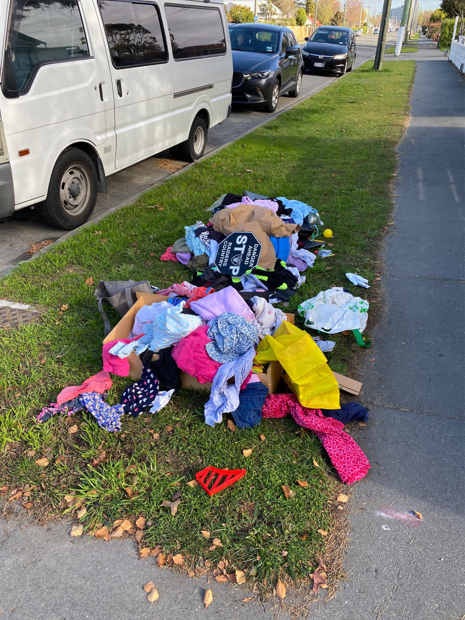 The photograph attached to this rubbish/recycling report