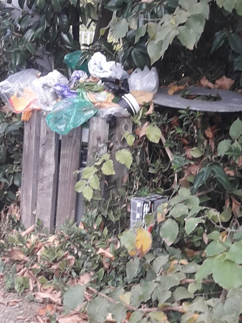 The photograph attached to this parks report