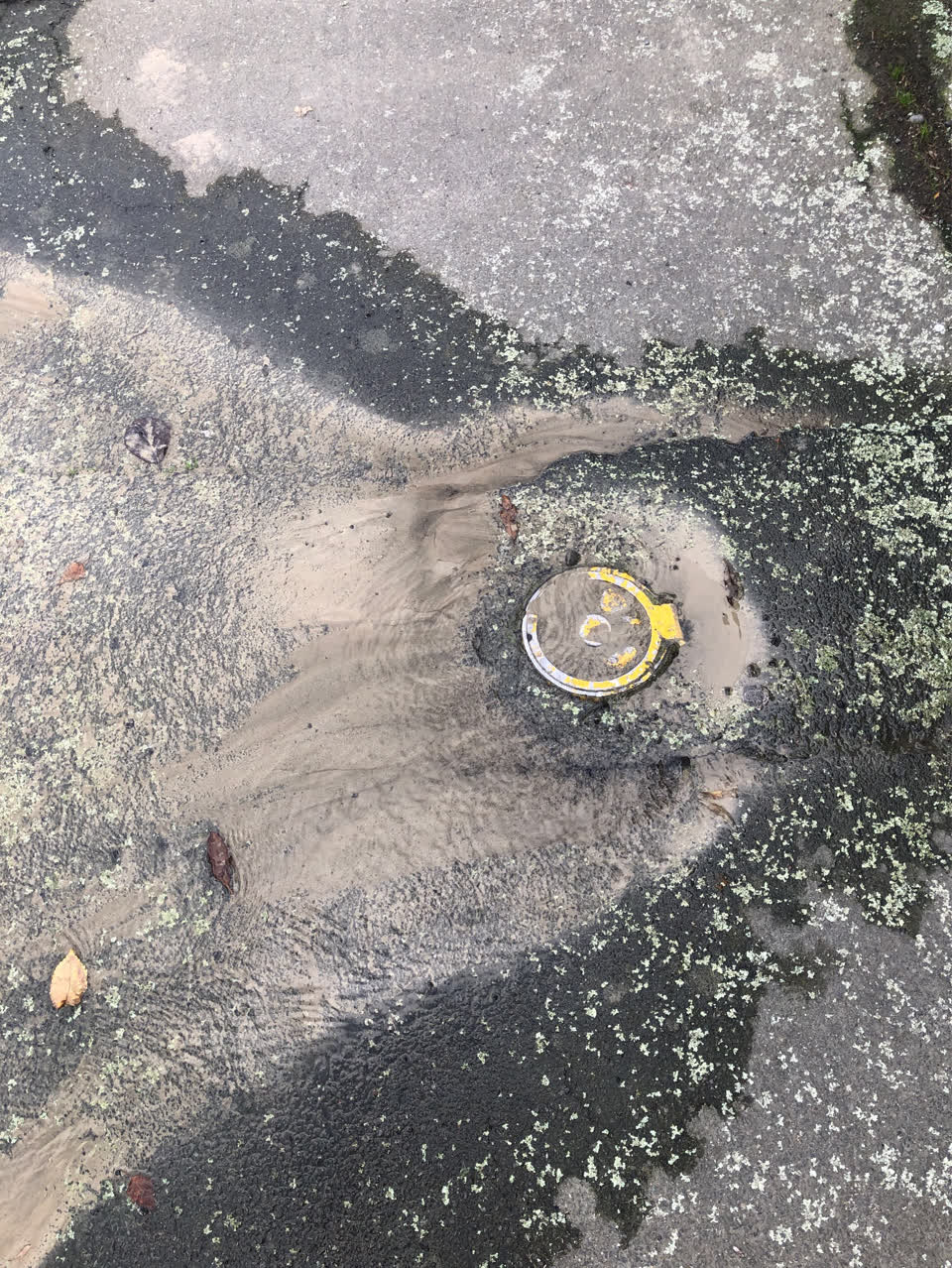 The photograph attached to this water supply report