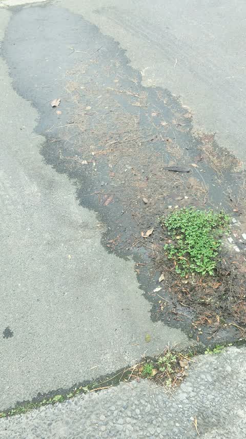 Water Supply, a report photo