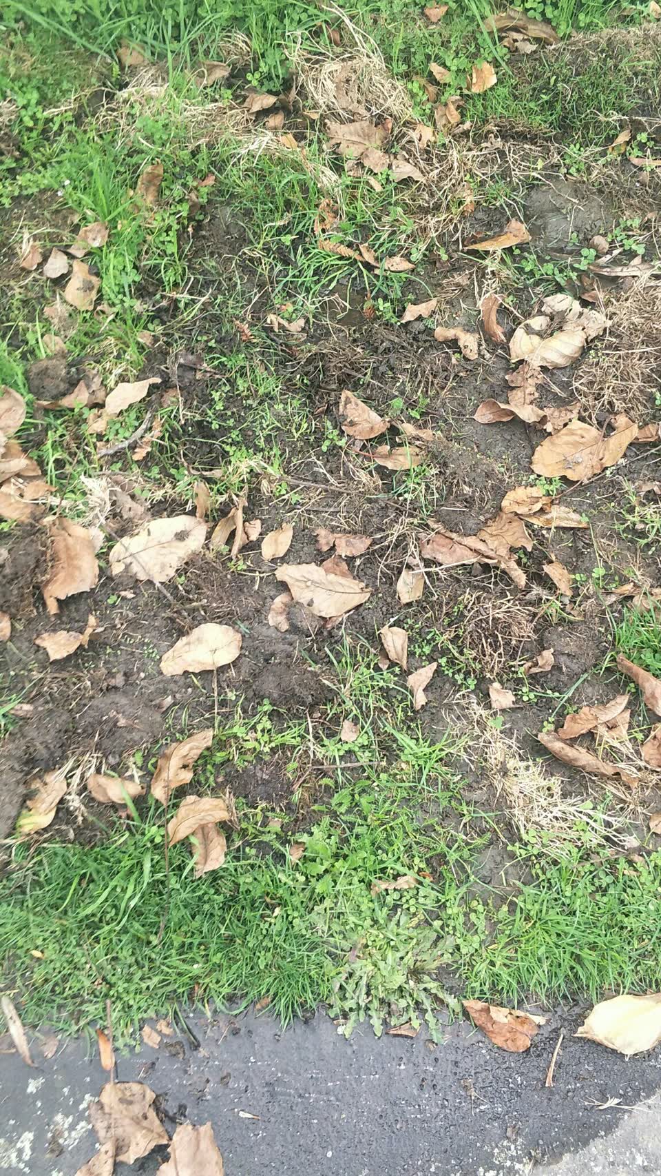 The photograph attached to this water supply report