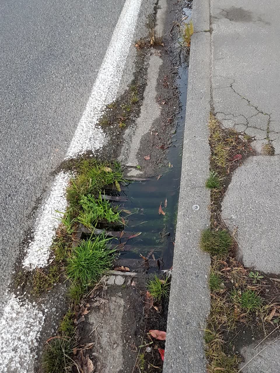 The photograph attached to this wastewater/stormwater report