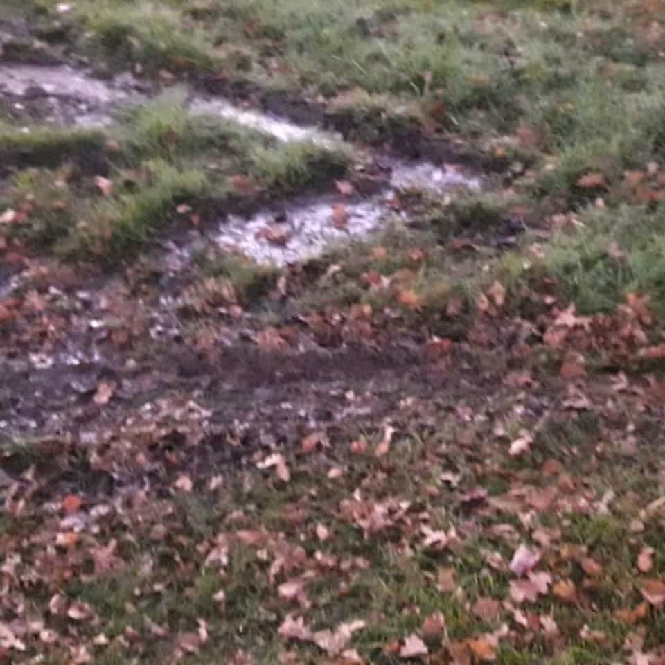 The photograph attached to this flooding report