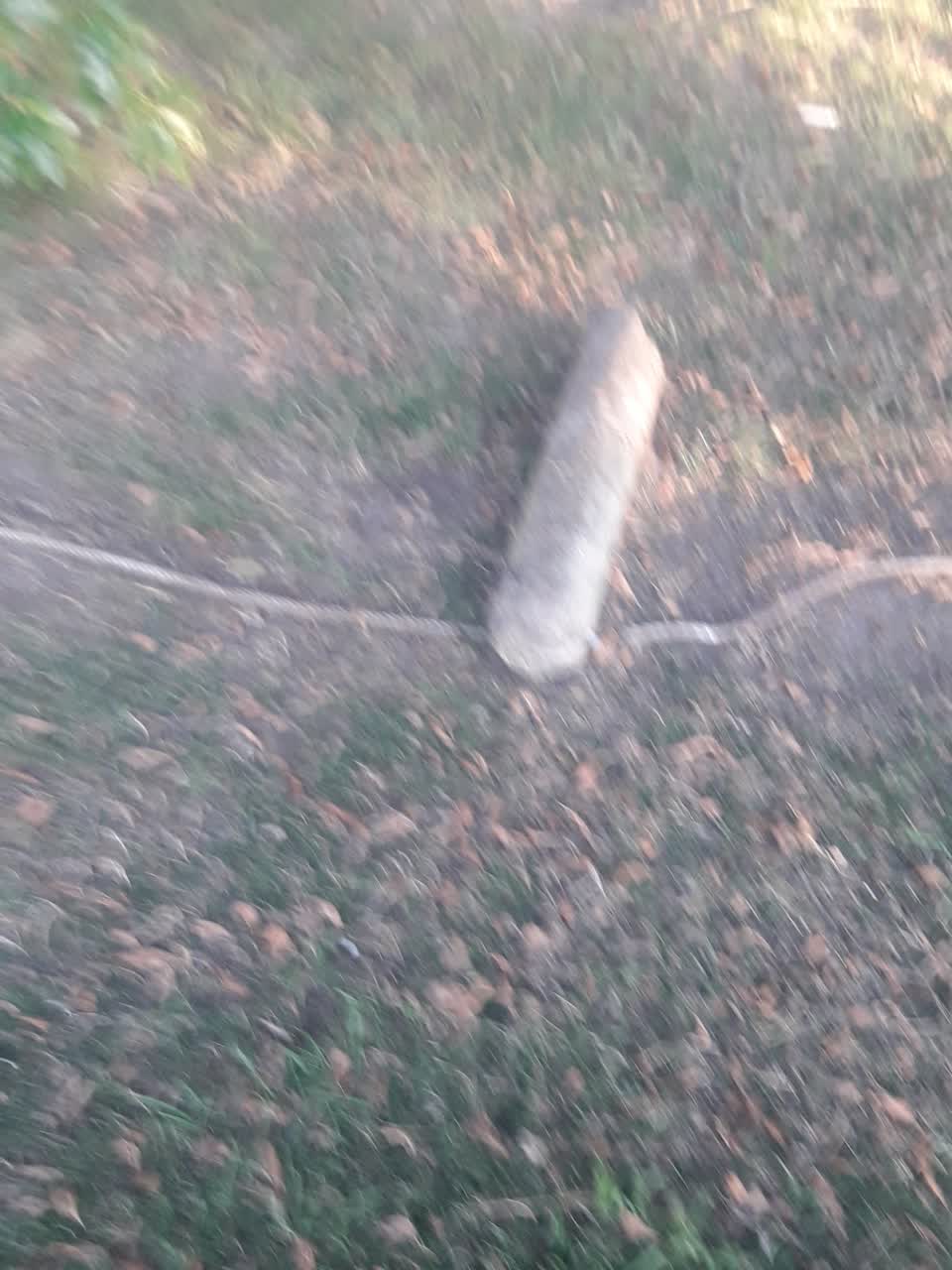 The photograph attached to this parks report