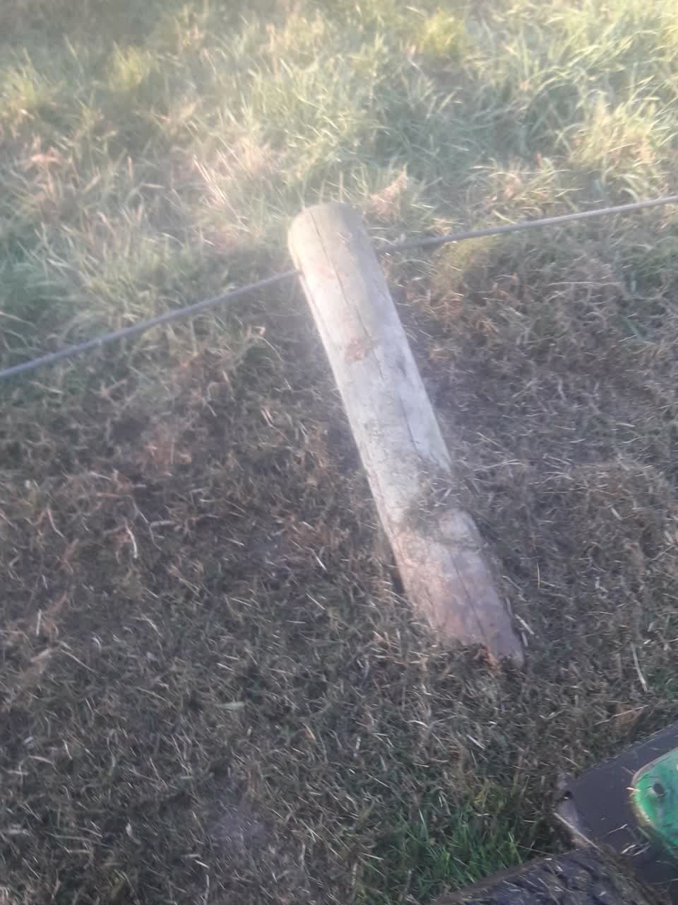 The photograph attached to this parks report