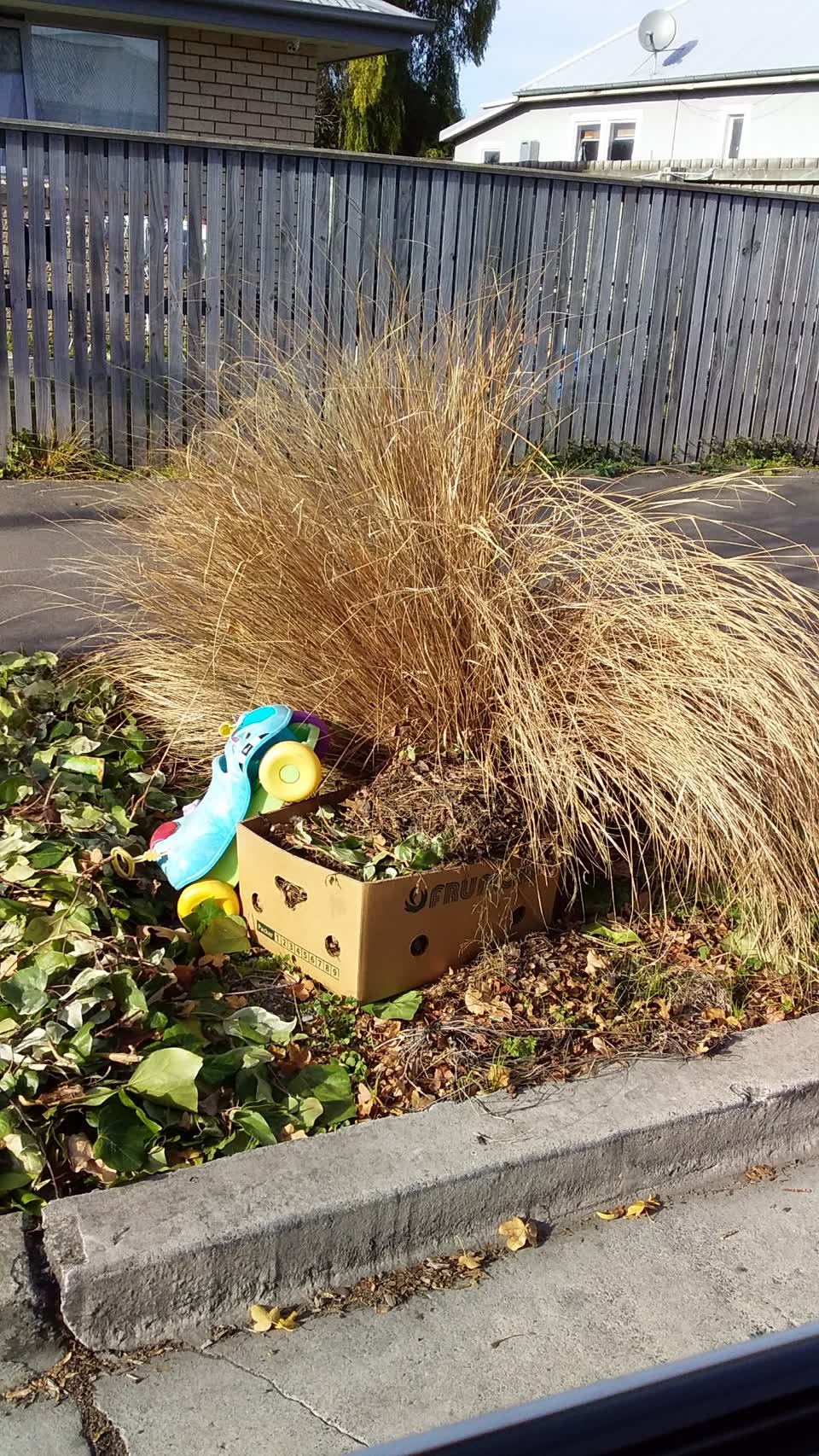 The photograph attached to this rubbish/recycling report