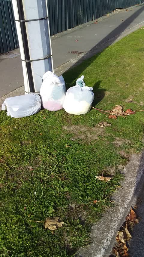 Rubbish/Recycling — a report photo