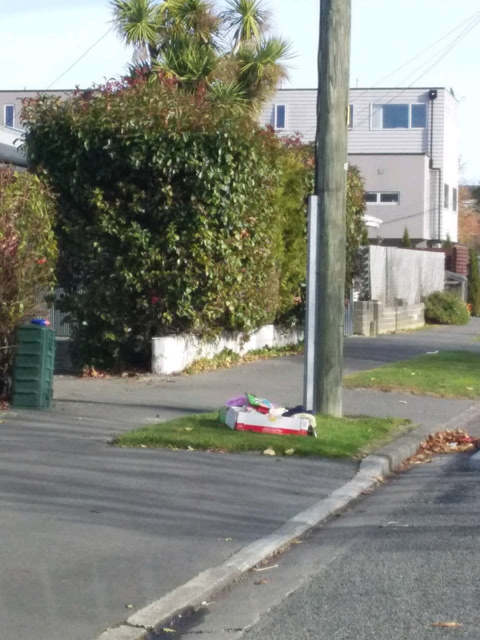 The photograph attached to this rubbish/recycling report