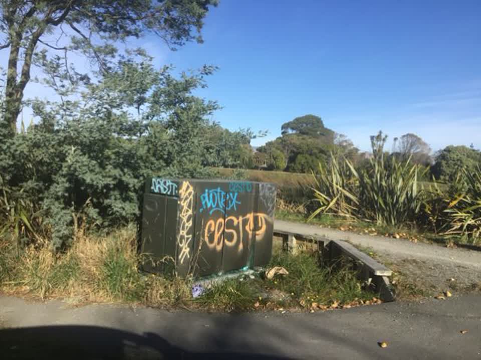 The photograph attached to this graffiti report