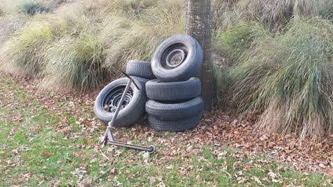 Rubbish/Recycling, a report photo