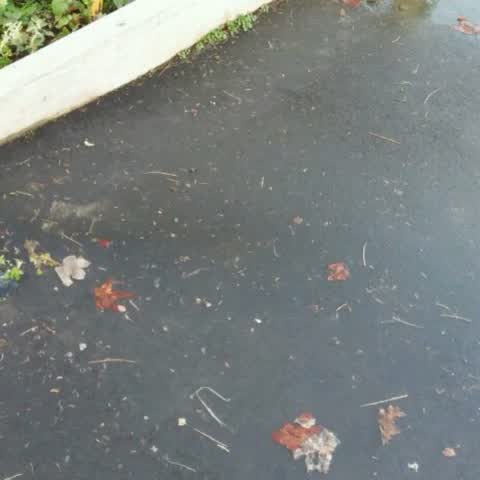 Wastewater/Stormwater, a report photo