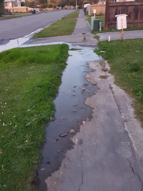Water Supply, a report photo