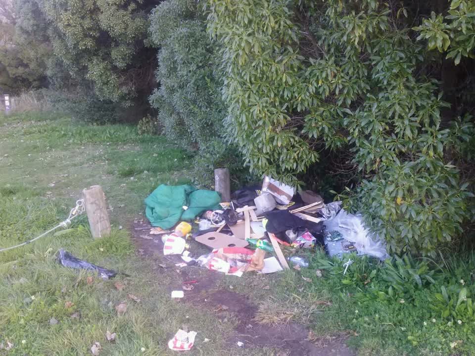 The photograph attached to this parks report