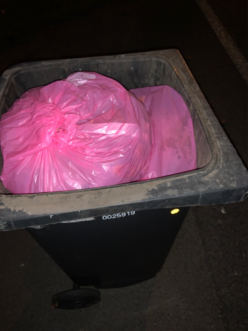 The photograph attached to this rubbish/recycling report