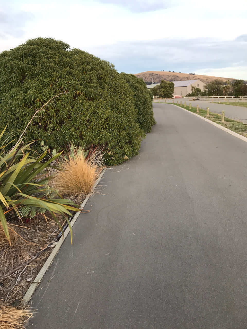 The photograph attached to this parks report