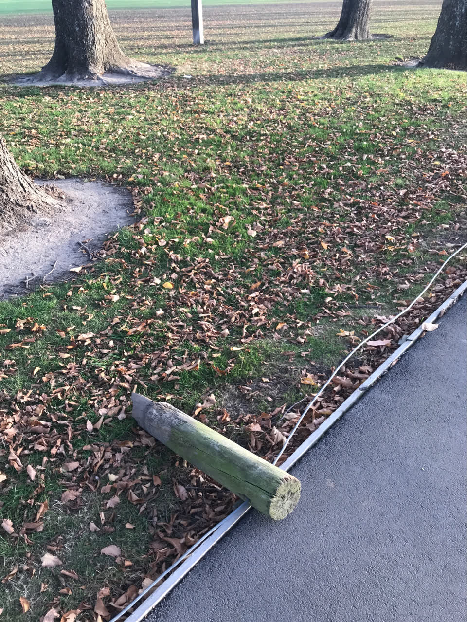 The photograph attached to this parks report
