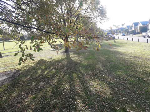 Parks, a report photo