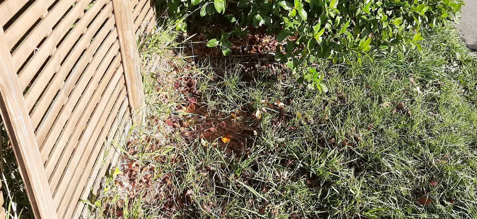 The photograph attached to this water supply report