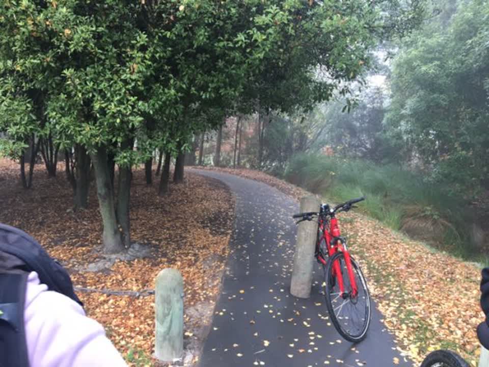 The photograph attached to this parks report