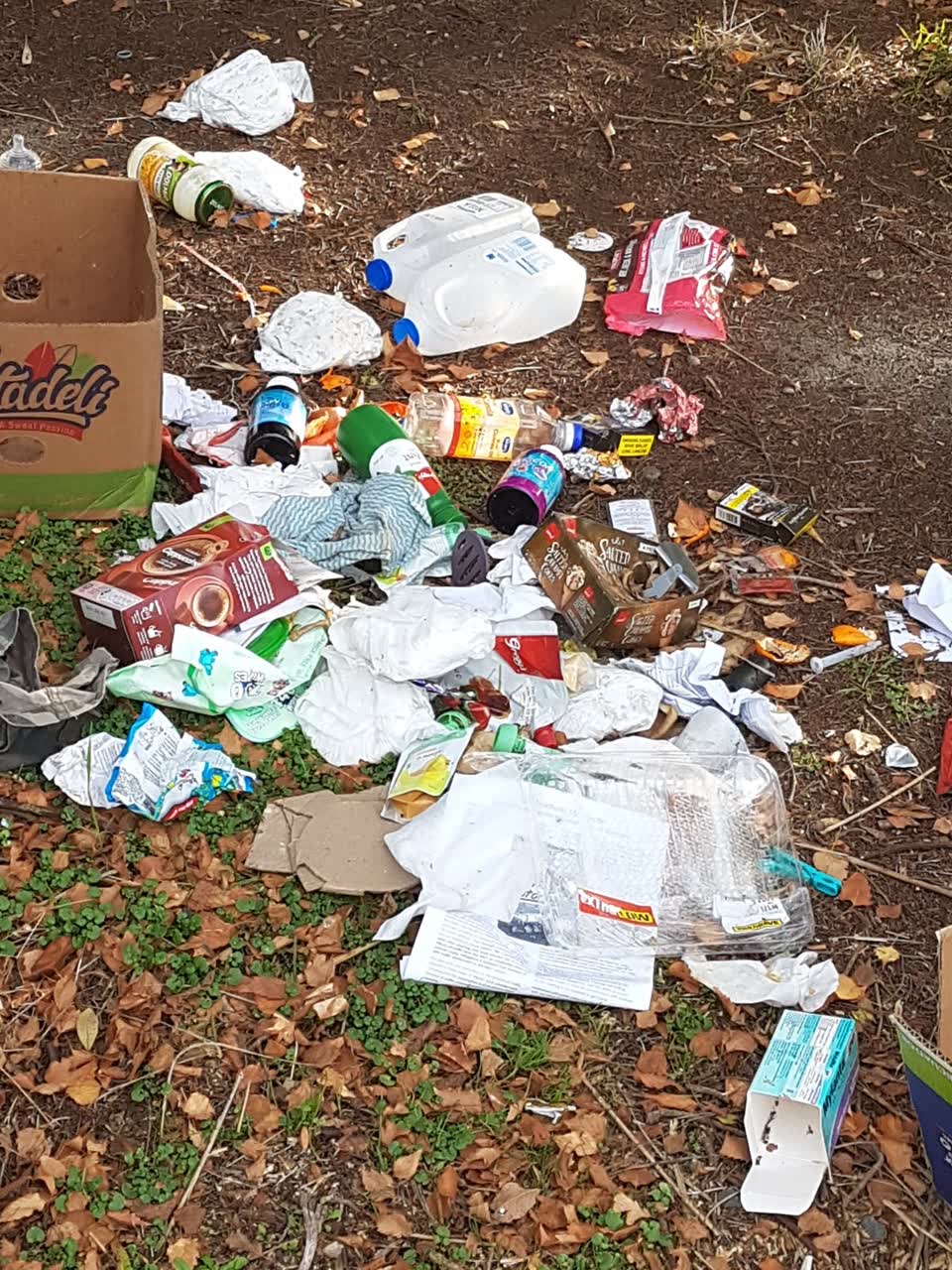 The photograph attached to this rubbish/recycling report