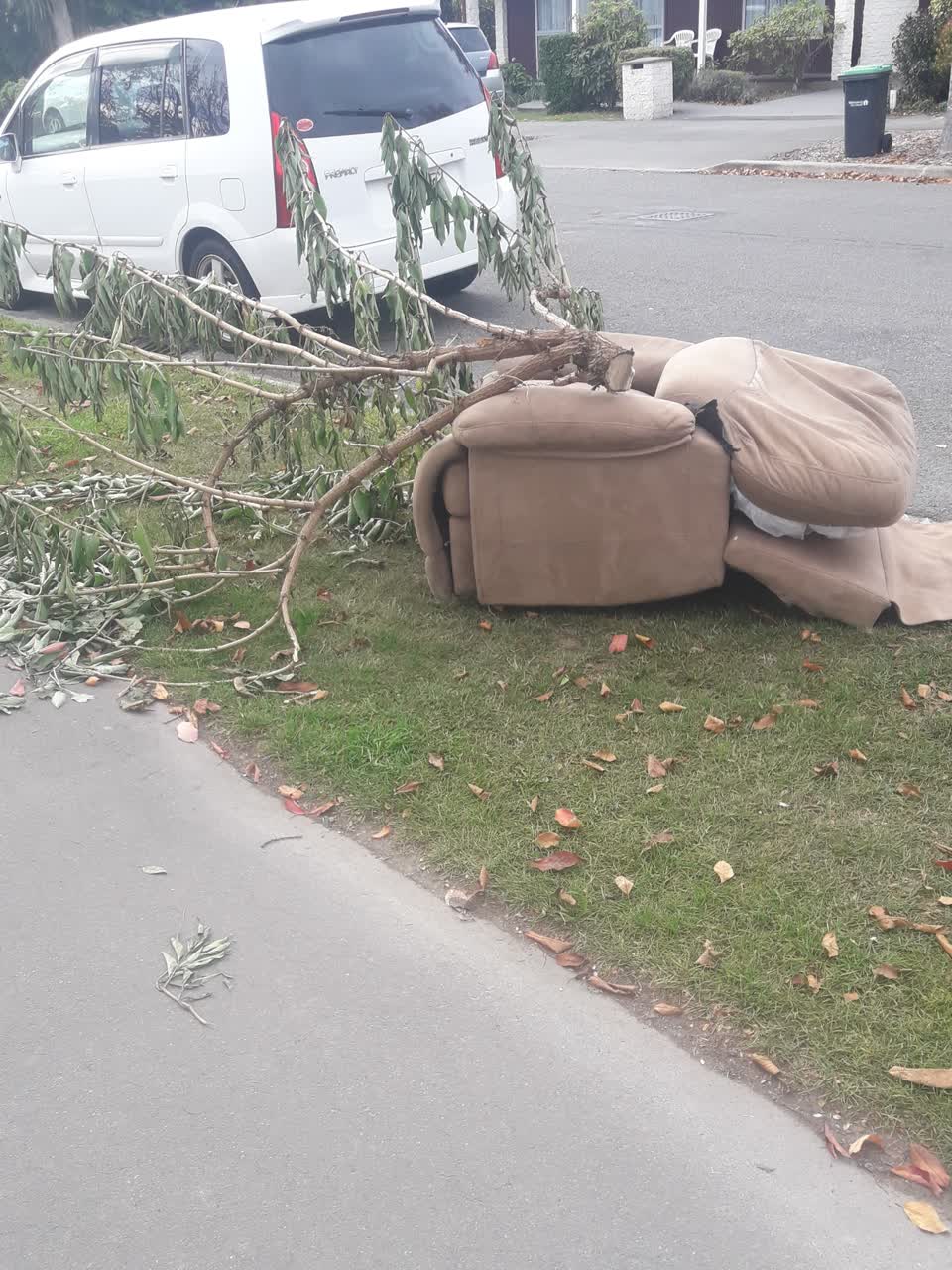 The photograph attached to this parks report