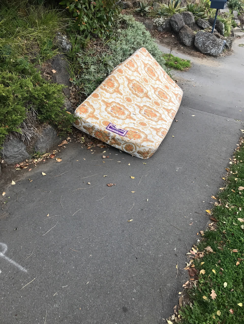 The photograph attached to this rubbish/recycling report