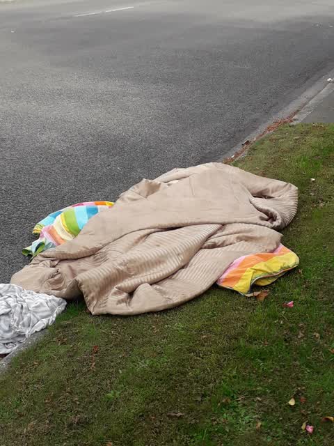 Rubbish/Recycling, a report photo