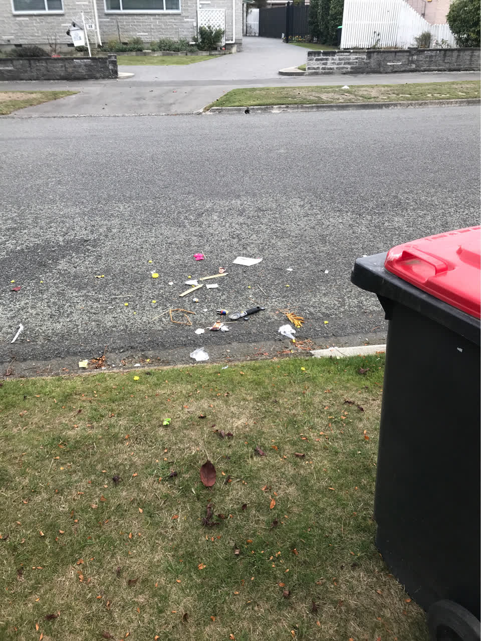 The photograph attached to this rubbish/recycling report