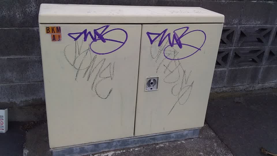 The photograph attached to this graffiti report